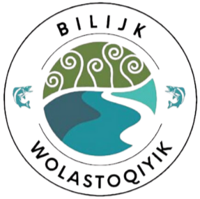 Bilijk logo