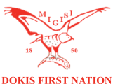 Dokis logo