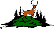 Deer Lake logo