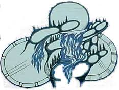 Slate Falls Nation logo
