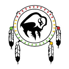 Skownan First Nation logo