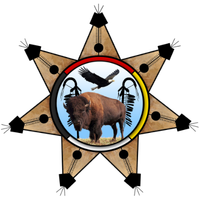 Dakota Plains logo